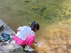 -少华山国家森林公园