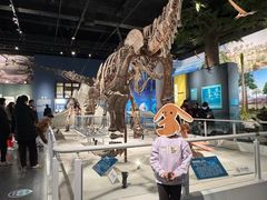 -国家自然博物馆