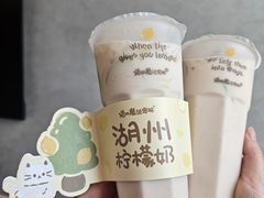 -猫的魔法密林(衣裳街店)