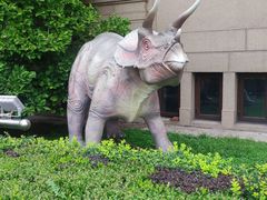 -国家自然博物馆