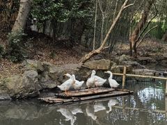 -兰亭风景区