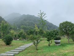 -长安文化生态公园