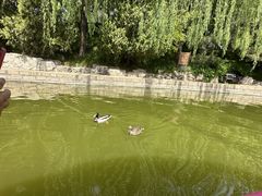 -团结湖公园