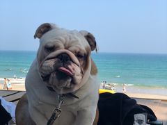 -西涌国际滨海旅游区