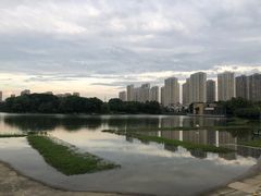 -白塘生态植物园