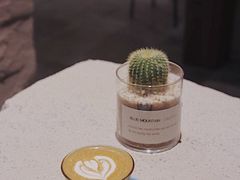 -地理学家咖啡馆