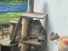 -青藏高原野生动物园