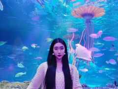 -沈阳海洋探索中心