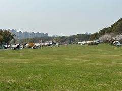 -昆山城市生态森林公园