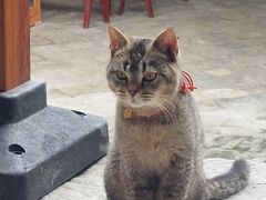 -北五省会馆