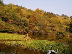 -天目湖山水园