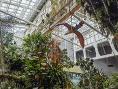 -正佳雨林生态植物园