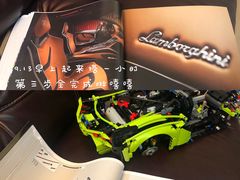 -乐高专卖店(温州万象城店)