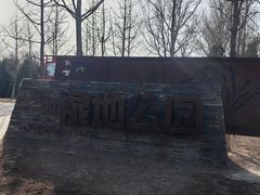 -东郊湿地公园