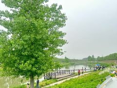 -洨河生态公园