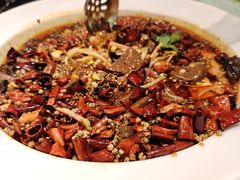 -来相会饺子·新辽菜(甘家口店)