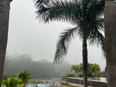 -西双版纳安纳塔拉度假酒店