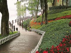 -重庆彩云湖湿地公园