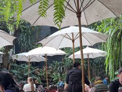 -Fern Forest Cafe