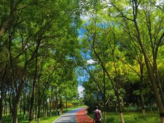 -大兴滨河森林公园