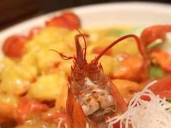 -成都保利公园皇冠假日酒店(熊猫基地店)