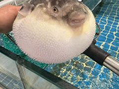 -新农家菜(浏河店)