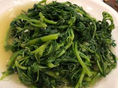 空心菜-旅宁大酒店