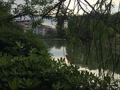 -东湖公园