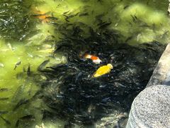 -珠海圆明新园