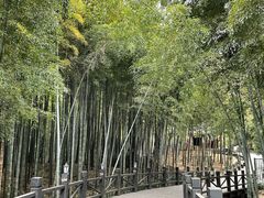 -月敏农家乐(树山店)