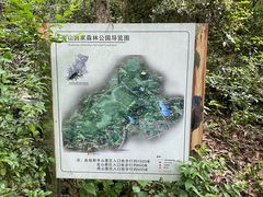 -杭州半山国家森林公园