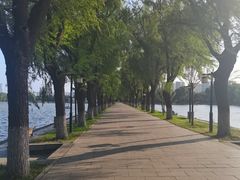 -北陵公园