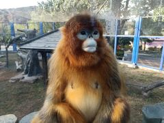 -大连森林动物园