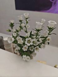 -小阿福儿童摄影(摩尔城店)