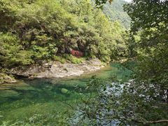 -石台牯牛降景区