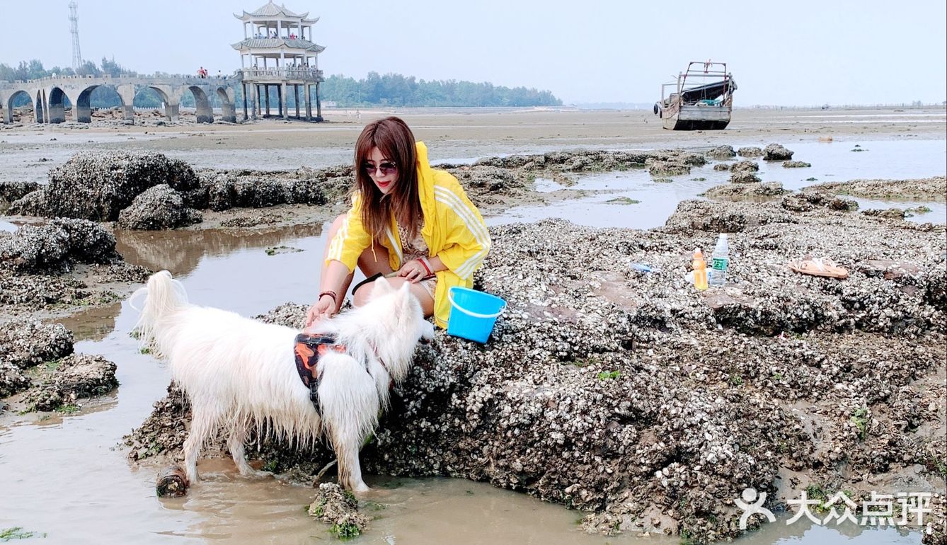 说走就走🌞拖家带狗🐶