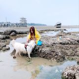 说走就走🌞拖家带狗🐶