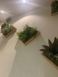 点击看大图 -薇薇安花系SPA