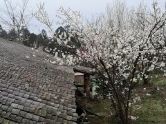 -樱桃山旅游景区