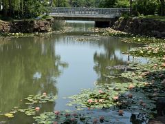 -大宁公园