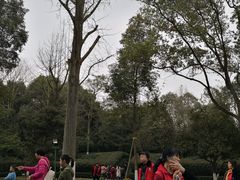 -邓小平故里