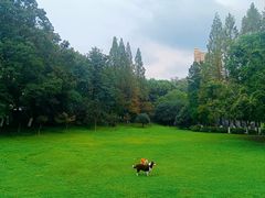 -环城公园-琥珀潭