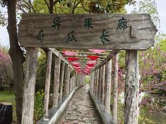 -南汇桃花村