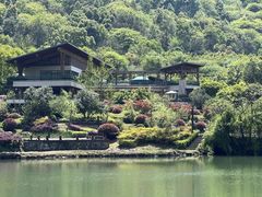 -桃花岭景区