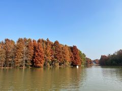 -上海海湾国家森林公园