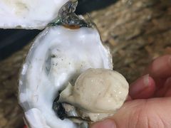 -永红源啤酒·烧烤·海鲜·大排档(青特城店)