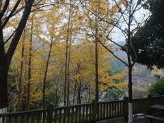 -白马涧龙池景区
