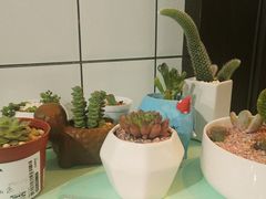 -蜜蜂小象·榴莲千层蛋糕(时代汇11栋店)