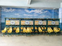 -泉州海丝野生动物世界