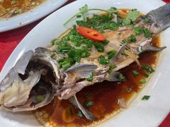 -先鲜鲫鱼粥